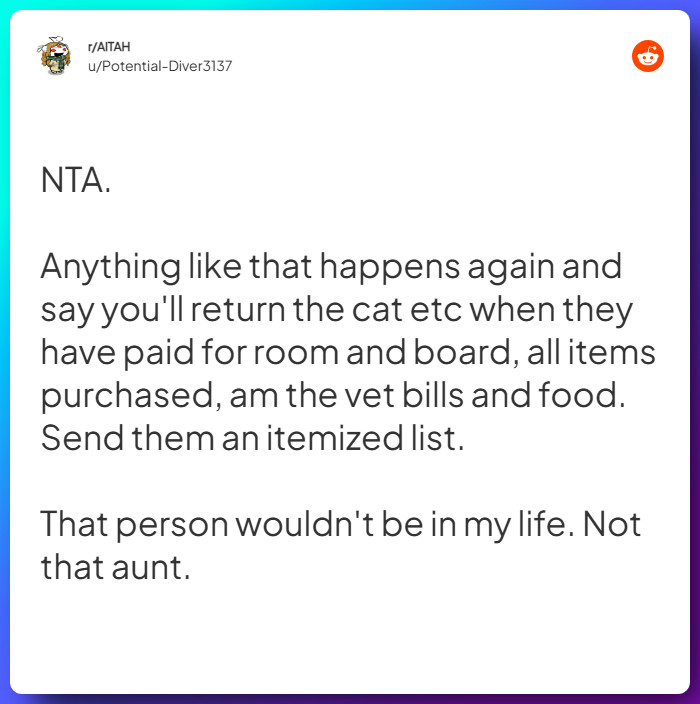 Comment from u/Potential-Diver3137