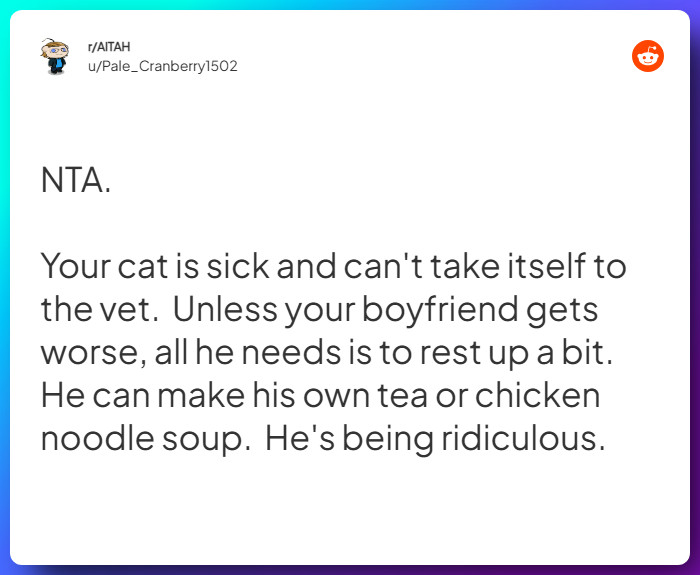 Comment from u/Pale_Cranberry1502