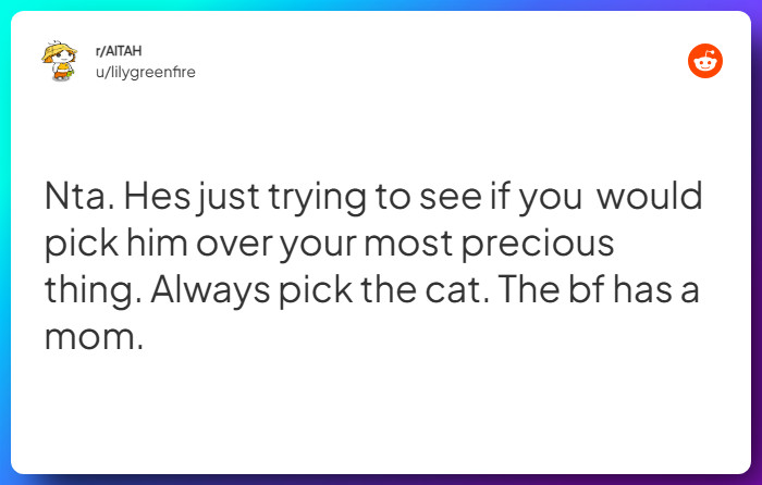 Comment from u/lilygreenfire