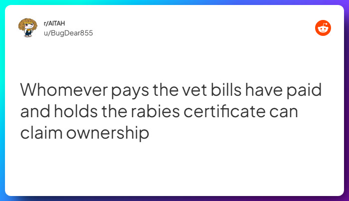 Comment from u/BugDear855