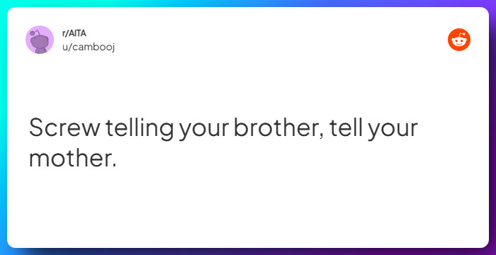 Comment from u/cambooj