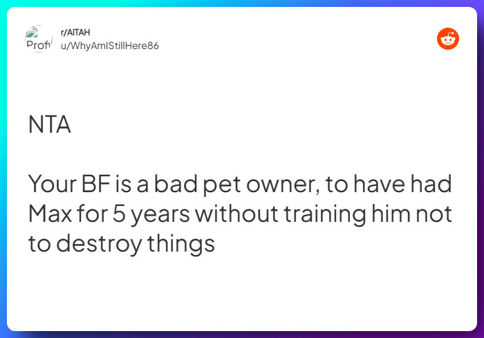 Comment from u/WhyAmIStillHere86