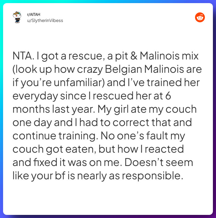 Comment from u/SlytherinVibess