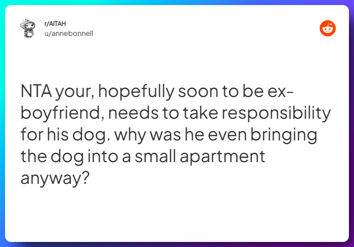 Comment from u/annebonnell