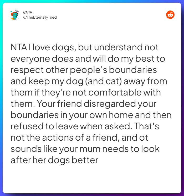 Comment from u/TheEternallyTired