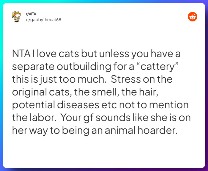 Comment from u/gabbythecat68