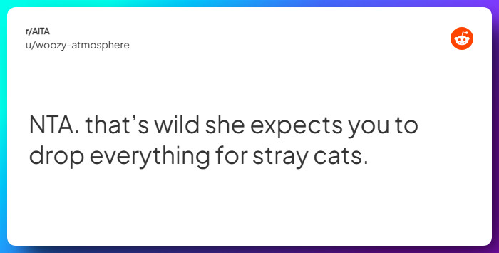 Comment from u/woozy-atmosphere