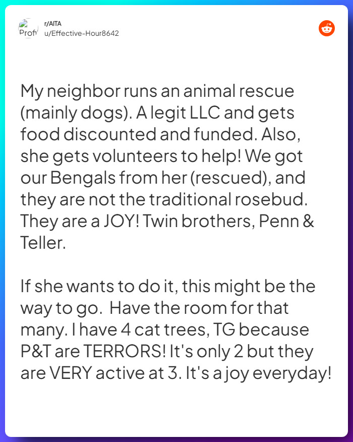 Comment from u/Effective-Hour8642