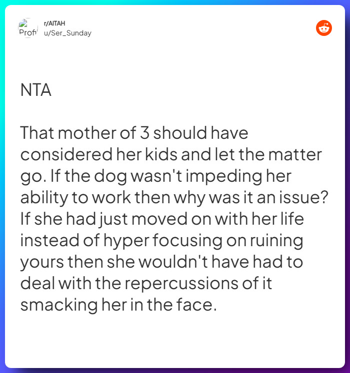 Comment from u/Ser_Sunday