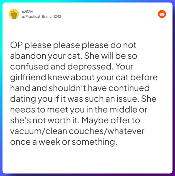 Comment from u/Practical-Branch1242