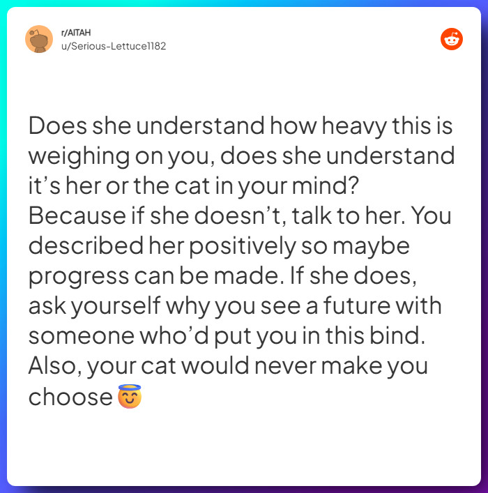 Comment from u/Serious-Lettuce1182