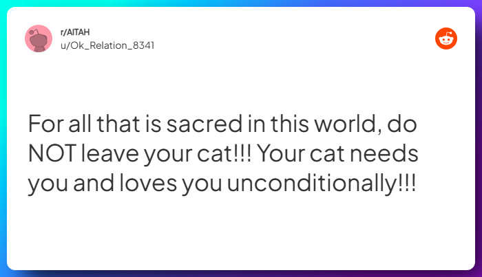 Comment from u/Ok_Relation_8341