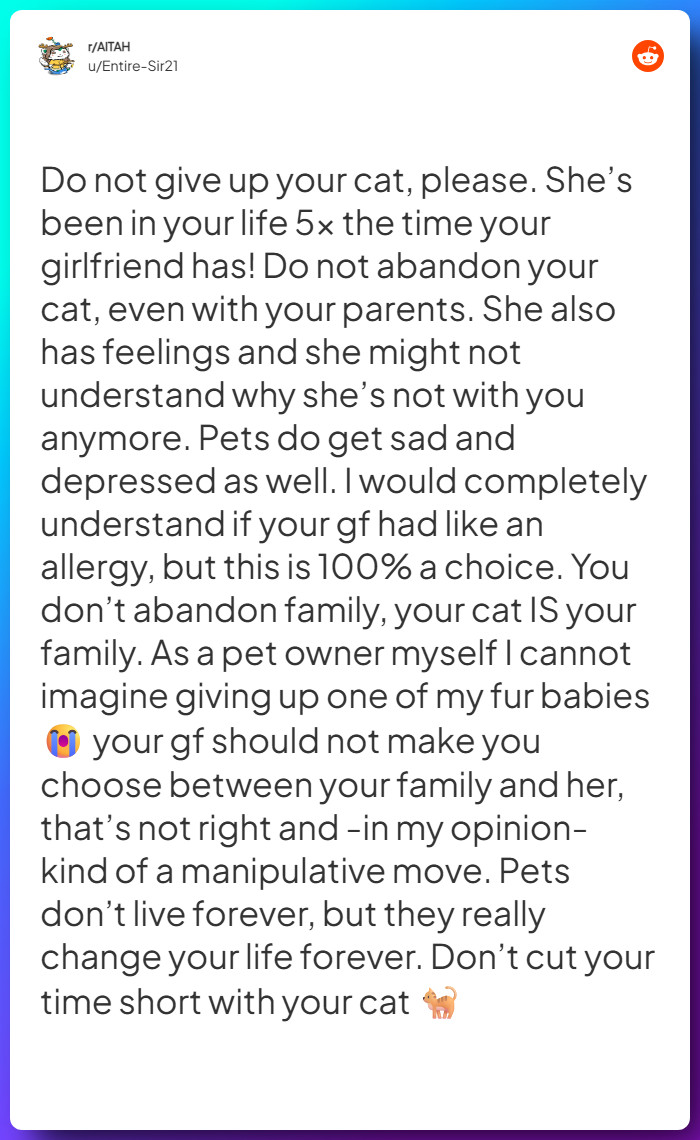 Comment from u/Entire-Sir21