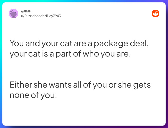 Comment from u/PuzzleheadedDay7943