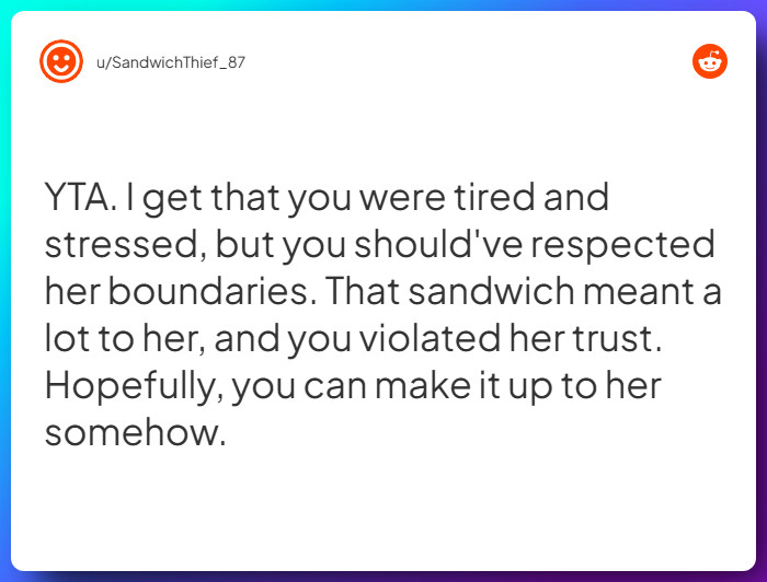 Comment from u/SandwichThief_87