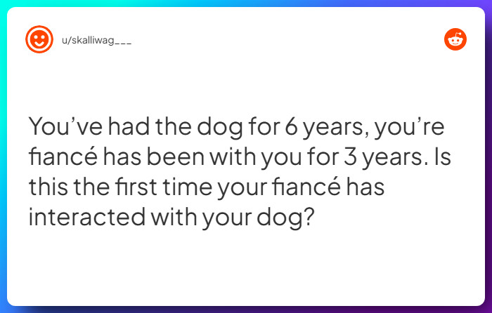 Comment from u/skalliwag___