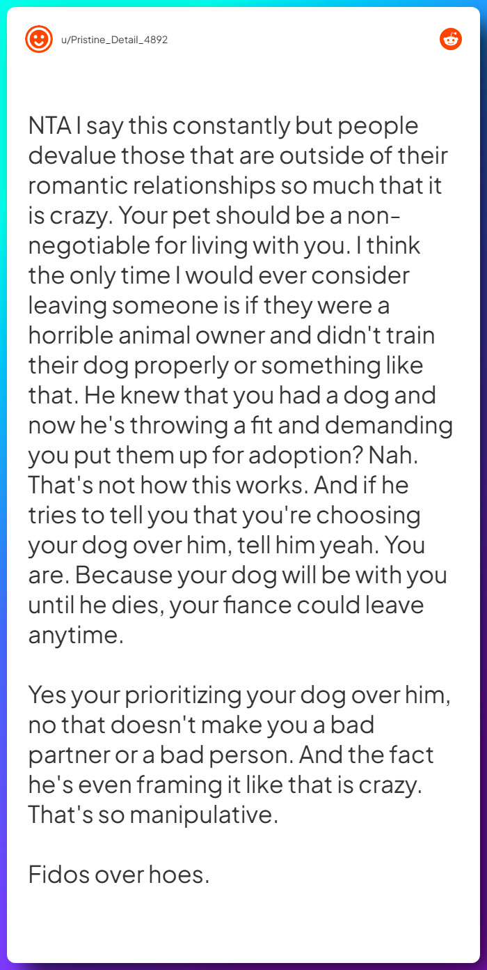 Comment from u/Pristine_Detail_4892