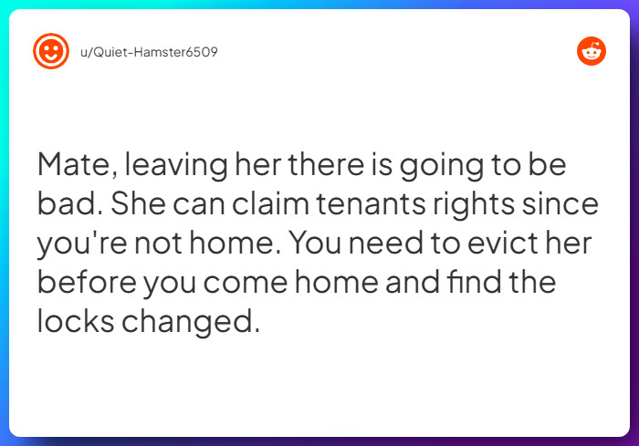 Comment from u/Quiet-Hamster6509