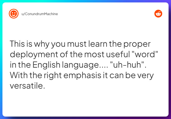 Comment from u/ConundrumMachine