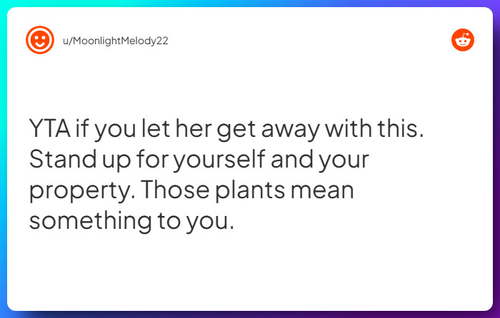 Comment from u/MoonlightMelody22