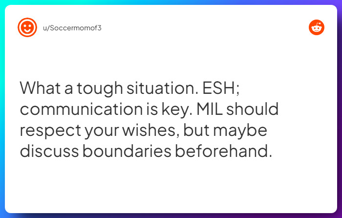 Comment from u/Soccermomof3