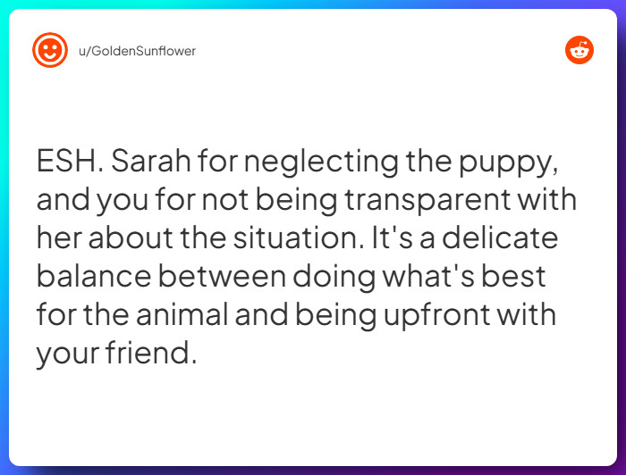 Comment from u/GoldenSunflower