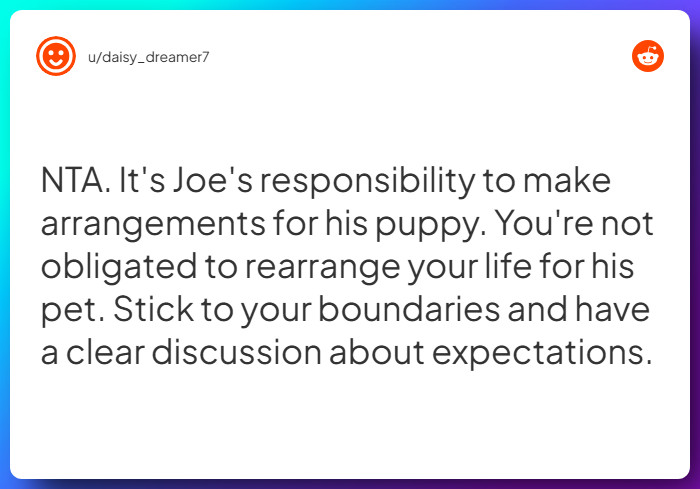 Comment from u/daisy_dreamer7