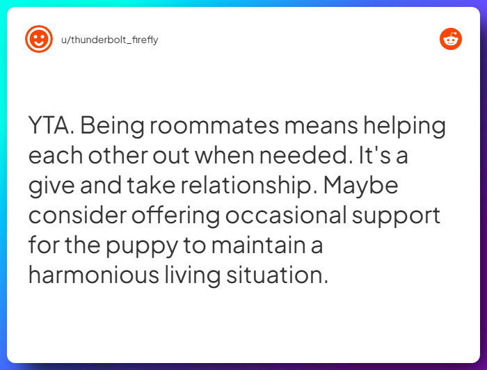 Comment from u/thunderbolt_firefly