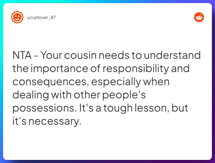 Comment from u/catlover_87