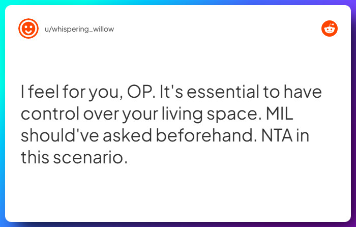 Comment from u/whispering_willow