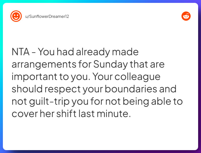 Comment from u/SunflowerDreamer12