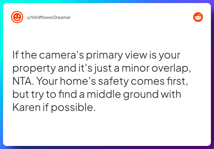 Comment from u/WildflowerDreamer