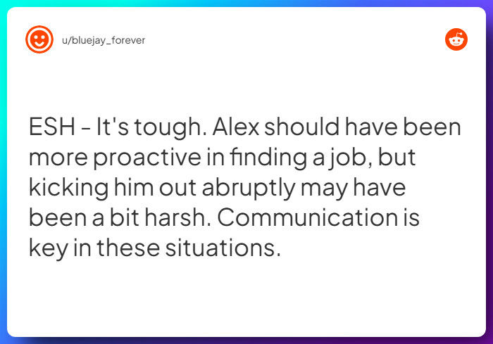 Comment from u/bluejay_forever