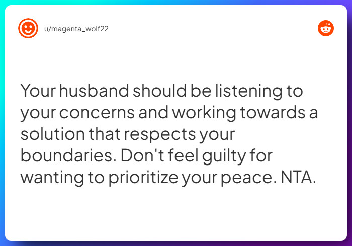 Comment from u/magenta_wolf22