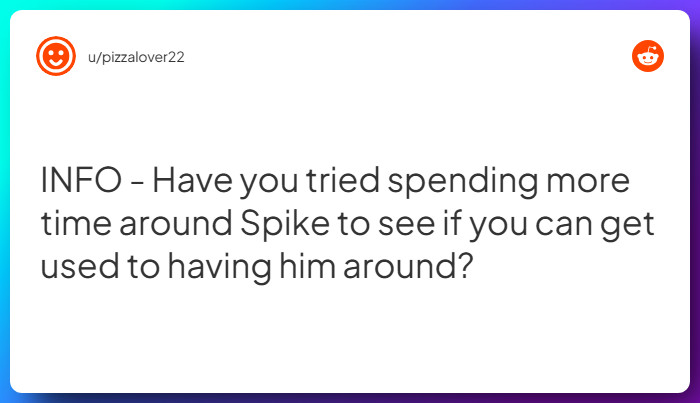 Comment from u/pizzalover22