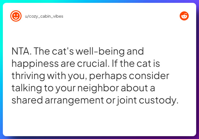 Comment from u/cozy_cabin_vibes