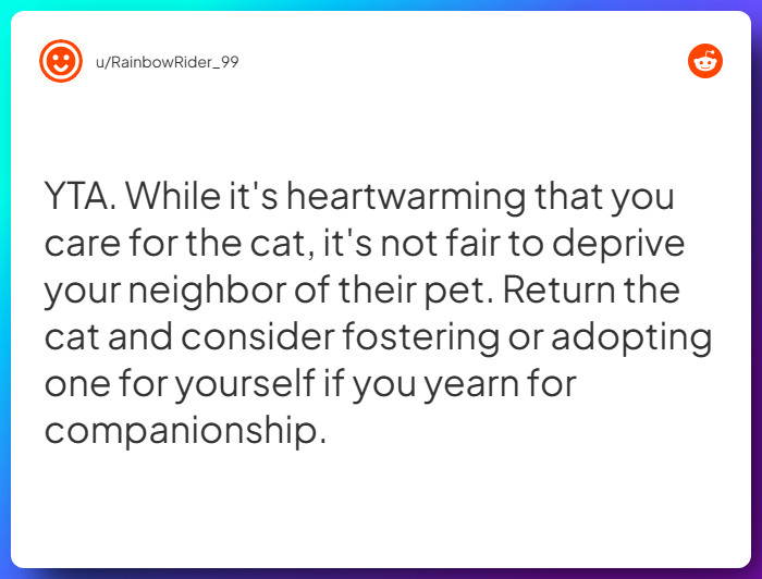 Comment from u/RainbowRider_99