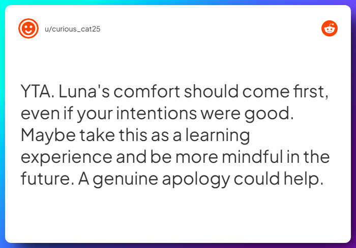 Comment from u/curious_cat25