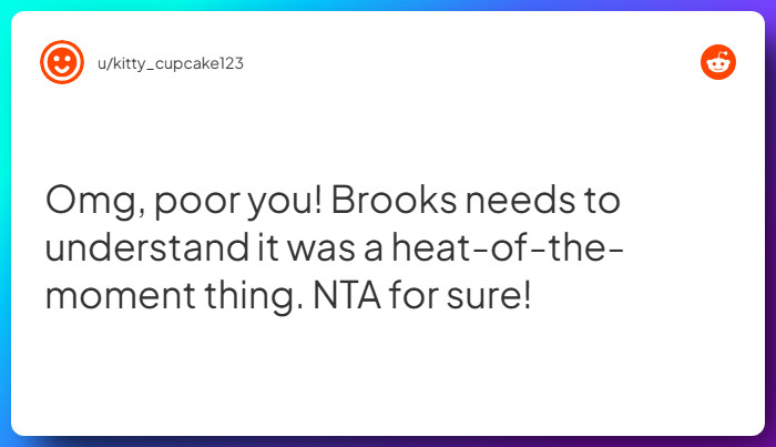 Comment from u/kitty_cupcake123