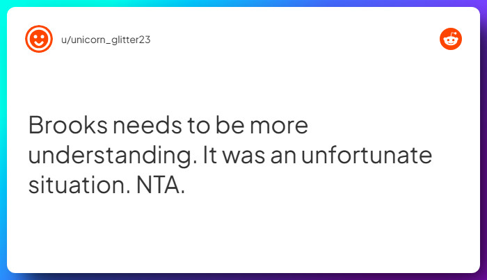 Comment from u/unicorn_glitter23