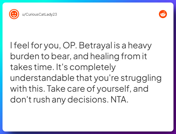 Comment from u/CuriousCatLady23