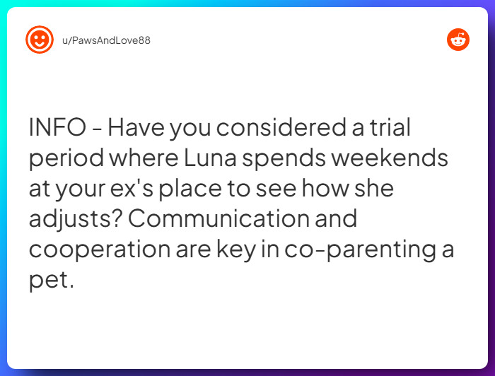 Comment from u/PawsAndLove88