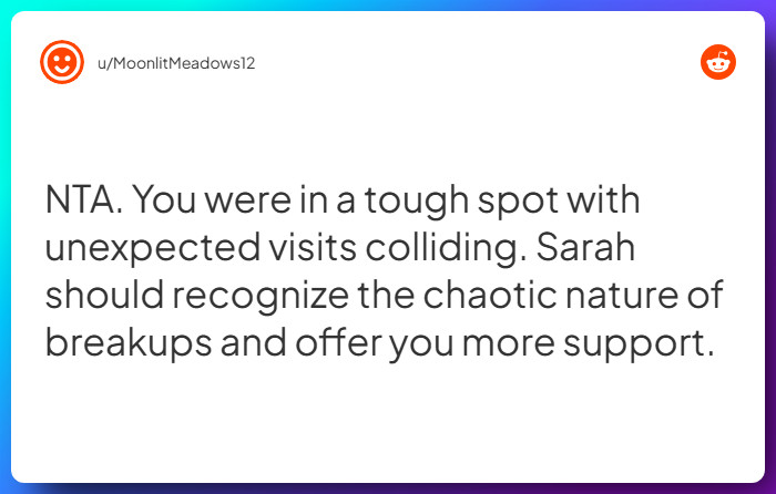 Comment from u/MoonlitMeadows12