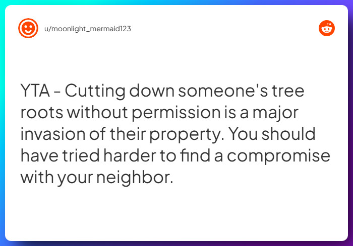 Comment from u/moonlight_mermaid123