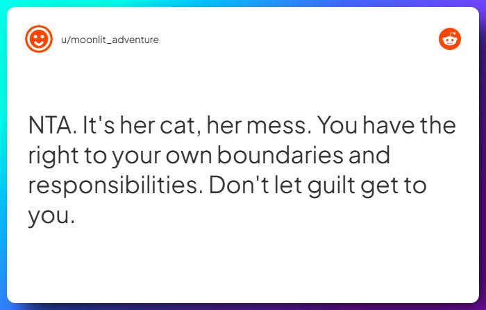 Comment from u/moonlit_adventure