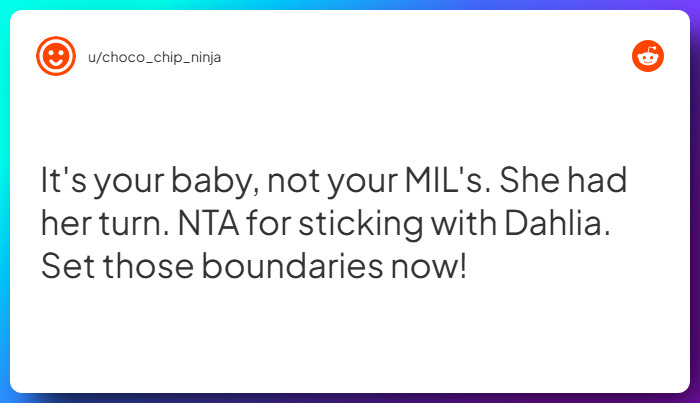 Comment from u/choco_chip_ninja