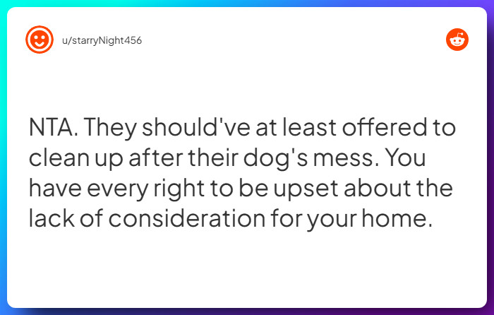 Comment from u/starryNight456