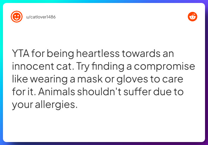 Comment from u/catlover1486