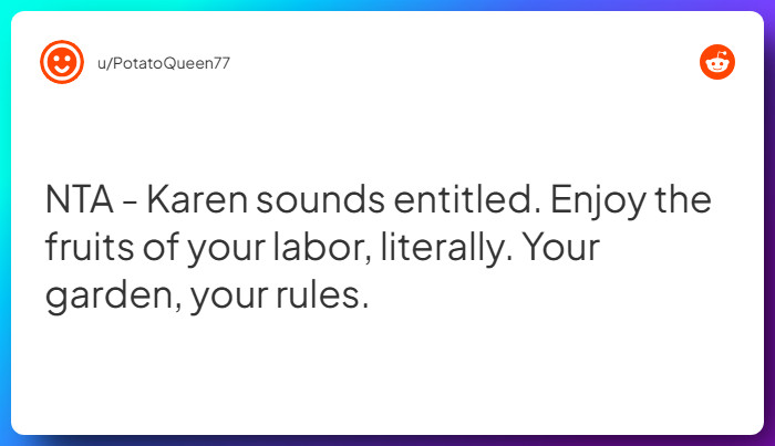 Comment from u/PotatoQueen77