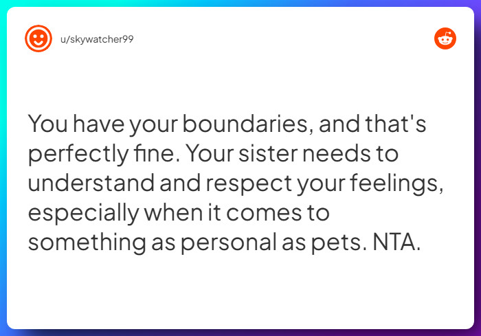 Comment from u/skywatcher99